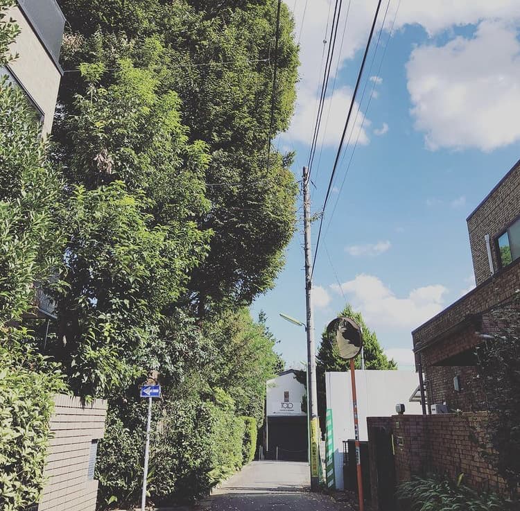 ふくものブログ